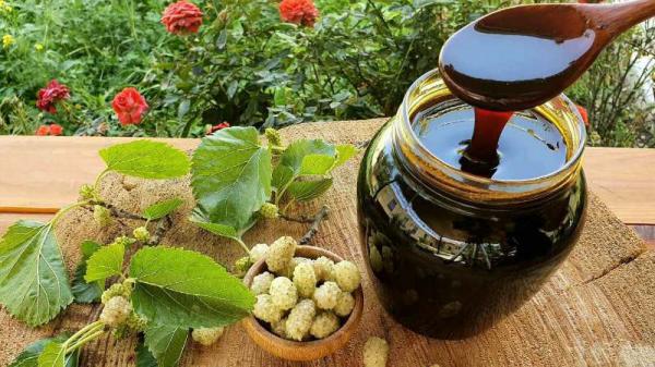 طرز تهیه شیره توت سفید در منزل با سریع ترین روش مرحله به مرحله